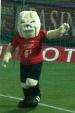 la masquotte du losc